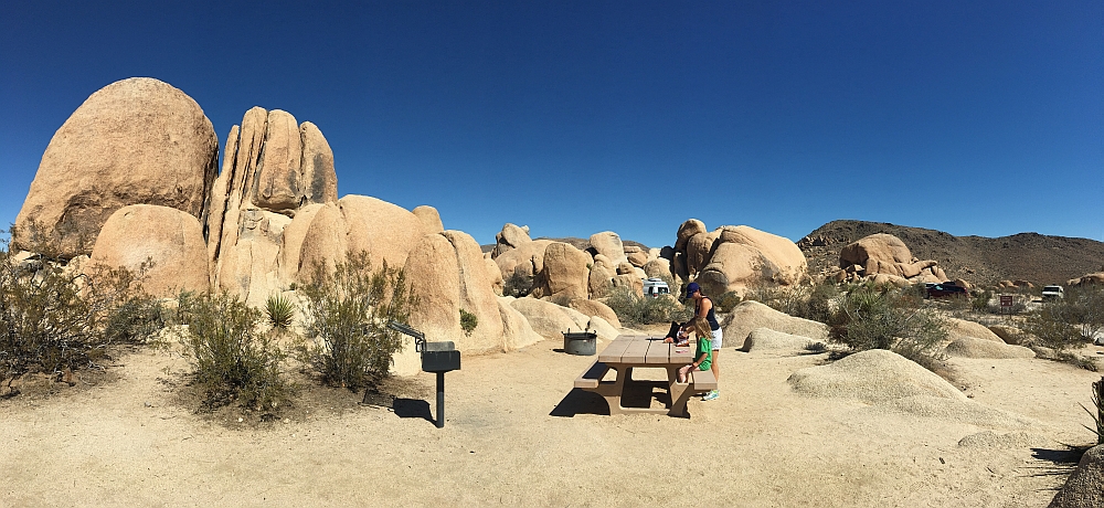 Joshua Tree NP